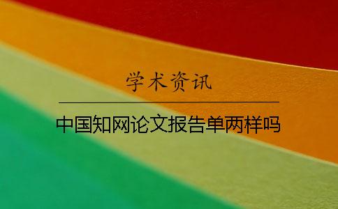 中国知网论文报告单两样吗