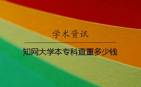 知网大学本专科查重多少钱