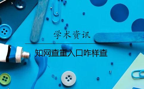 知网查重入口咋样查
