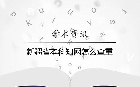 新疆省本科知网怎么查重