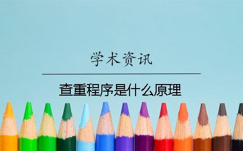 查重程序是什么原理