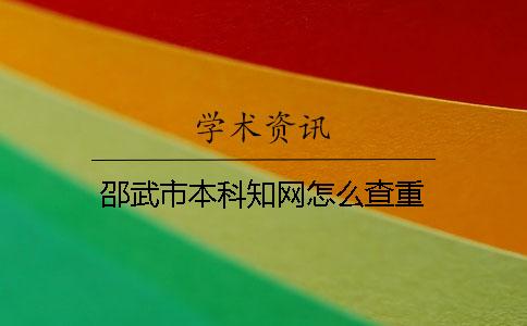 邵武市本科知网怎么查重