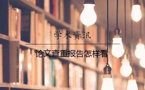 论文查重报告怎样看