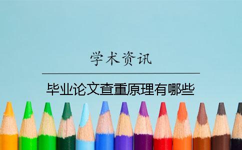 毕业论文查重原理有哪些
