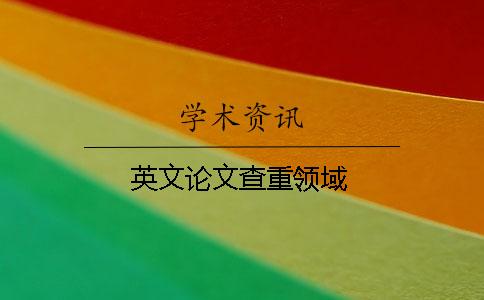 英文论文查重领域