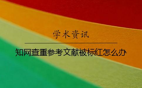 知网查重参考文献被标红怎么办？
