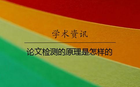 论文检测的原理是怎样的？