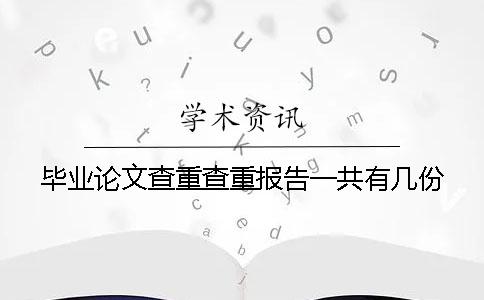 毕业论文查重查重报告一共有几份