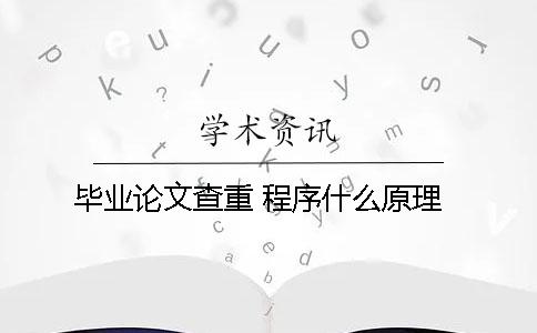 毕业论文查重 程序什么原理