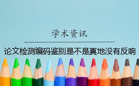论文检测编码鉴别是不是真地没有反响？