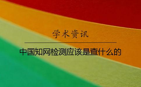 中国知网检测应该是查什么的